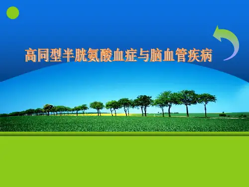 高同型半胱氨酸血症与脑血管疾病医疗医学PPT模板