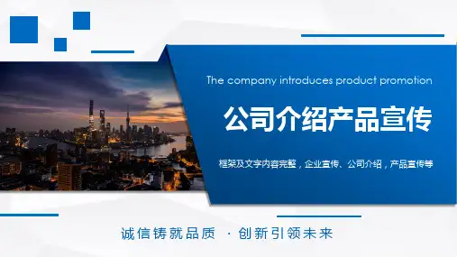 平安公司介绍ppt