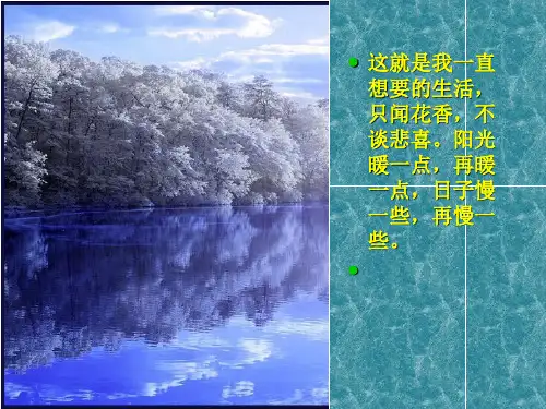 只闻花香不谈悲喜