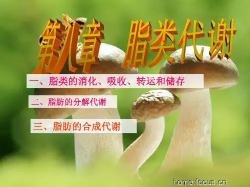 第八章 脂类代谢 ppt课件