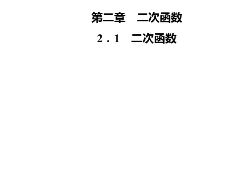 九年级数学北师大版下册课件:第二章 2.1 二次函数(共24张PPT)