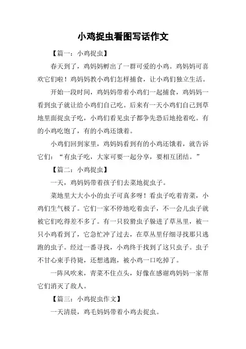 小鸡捉虫看图写话作文