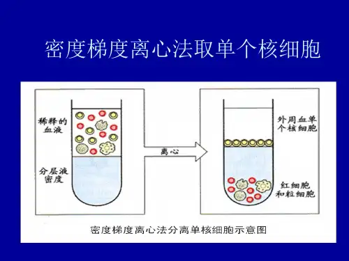 密度梯度离心法取单个核细胞具体方法