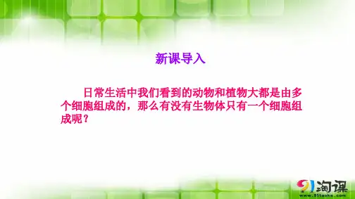 原创1：2.2.4单细胞生物