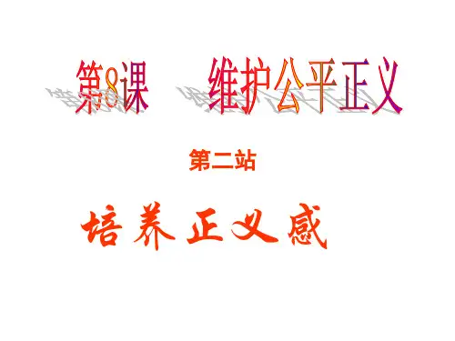 八年级政治维护公平正义2(201908)