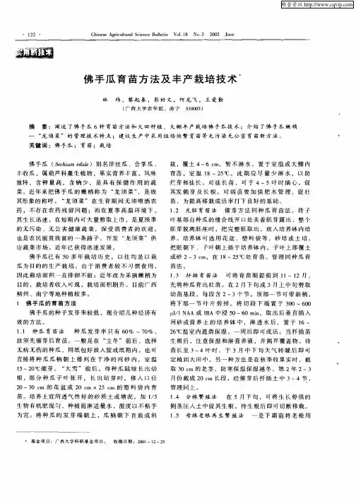 佛手瓜育苗方法及丰产栽培技术
