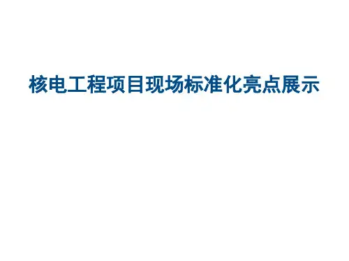 核电项目现场标准化亮点展示