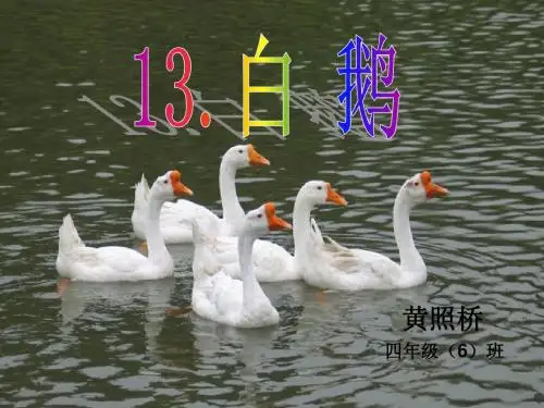 13[1].白鹅PPT课件