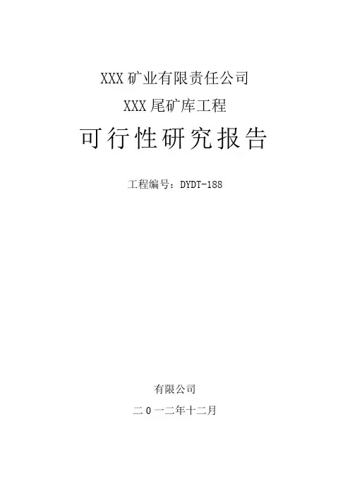 矿业有限责任公司尾矿库建设项目可行性研究报告