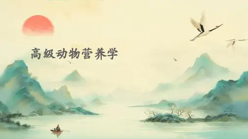 高级动物营养学