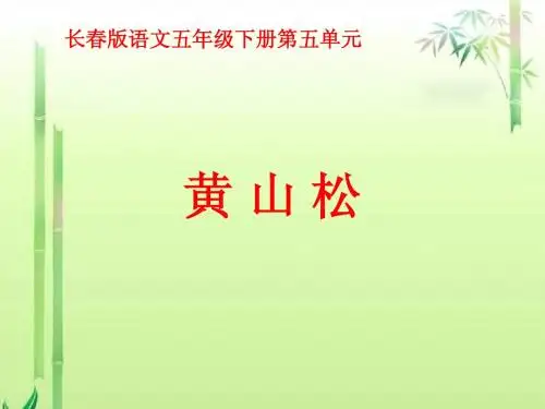 《黄山松》教学课件