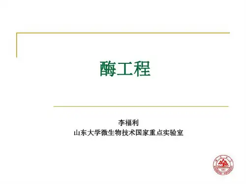 酶工程生物技术..75页PPT