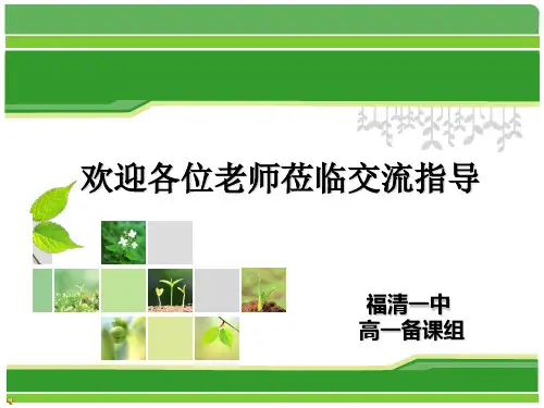 新教材人教版《化学反应速率》教学课件1