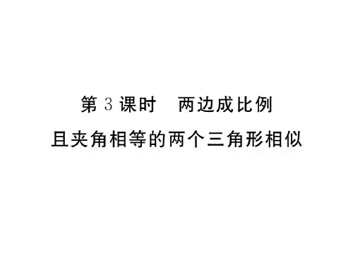 27.2.1 第3课时 两边成比例且夹角相等的两个三角形相似【数学大师】