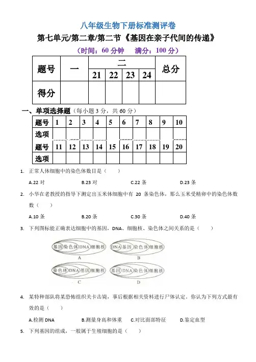 人教版八年级生物下册  第七单元  第二章  第二节《基因在亲子代间的传递》考试测试卷