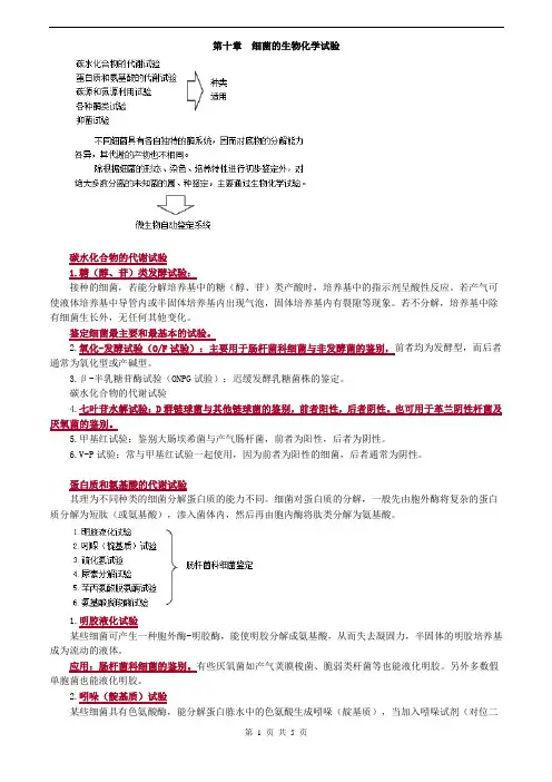 临床检验技师-微生物检验(2019)讲义第十章_细菌的生物化学试验