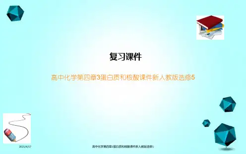 高中化学第四章3蛋白质和核酸课件新人教版选修5