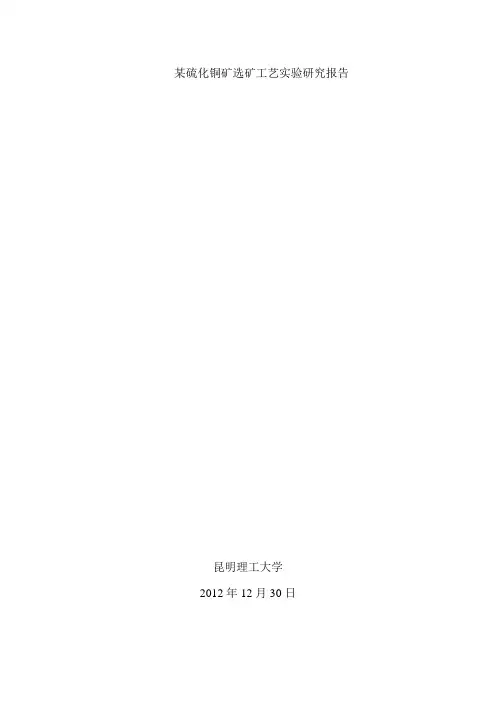 矿物加工研究方法
