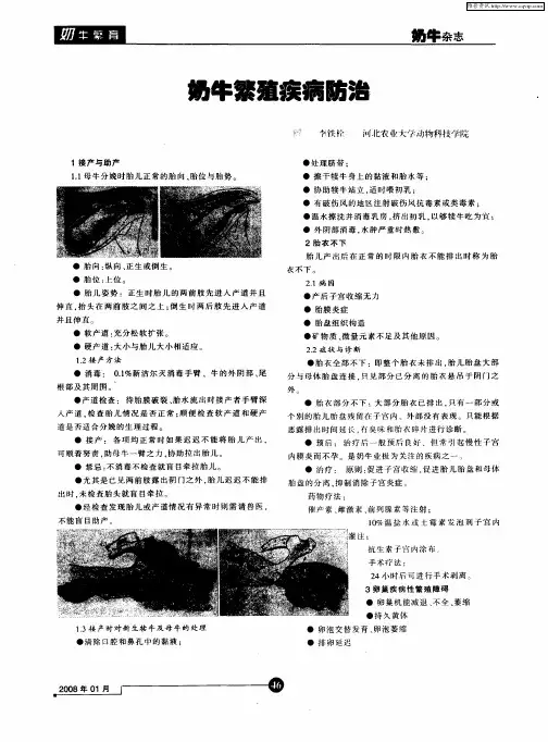 奶牛繁殖疾病防治
