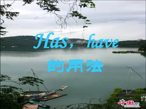 has和have的用法