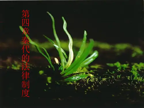 第四章秦代的法律制度