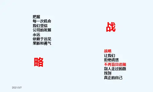 服装公司战略规划-