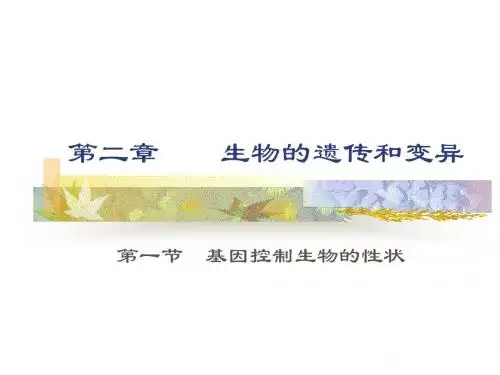 八年级下册生物课件   ((新人教版))生物的遗传和变异