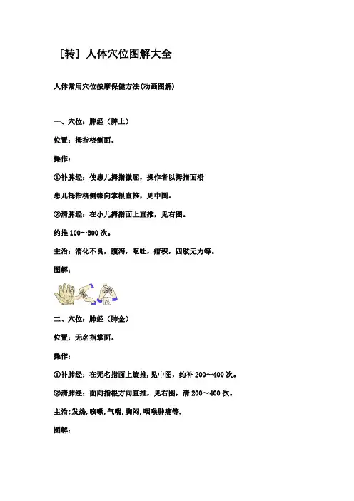 人体穴位图解大全 2