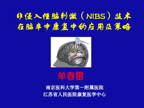 非侵入性脑刺激(NIBS)技术在脑卒中康复中的应用及策略PPT课件