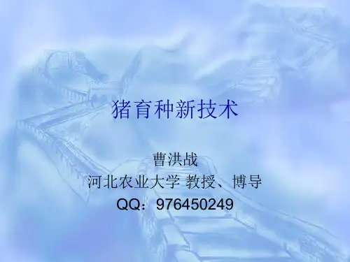 猪育种新技术-中国种猪信息网