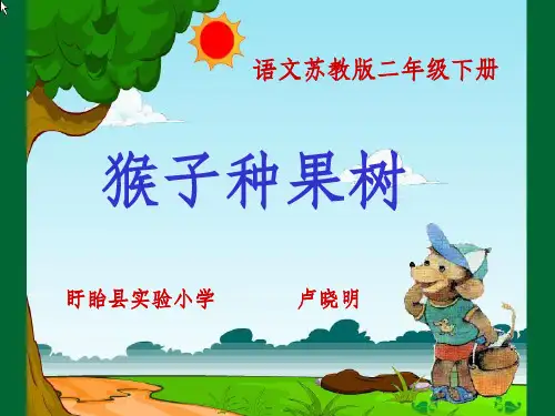 《猴子种果树》