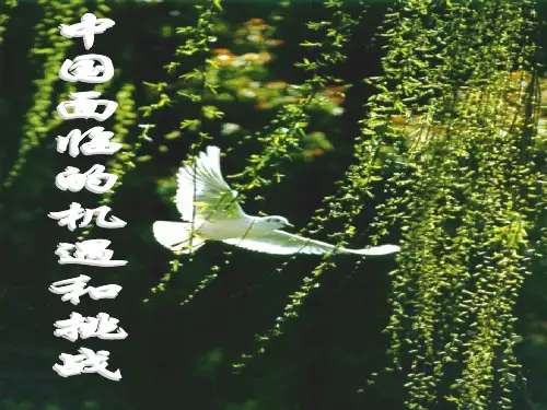 中国面临的机遇和挑战21页PPT