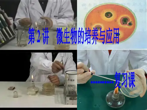 2017年最新高考二轮总复习：选修1-2《微生物的培养与应用》精品ppt课件