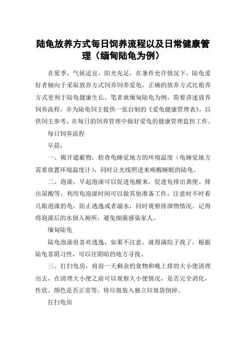 陆龟放养方式每日饲养流程以及日常健康管理(缅甸陆龟为例)