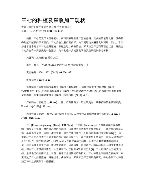 三七的种植及采收加工现状