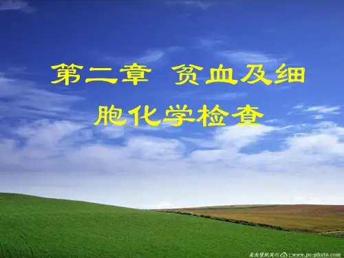 贫血及细胞化学检查的临床表现