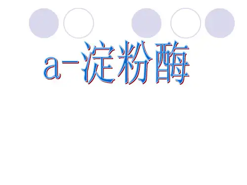 a-淀粉酶