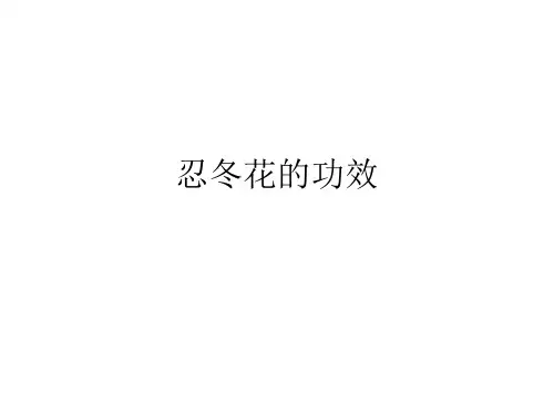 忍冬花的功效