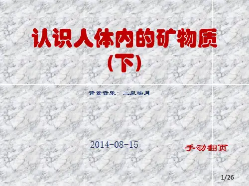认识人体内的矿物质下 ppt课件