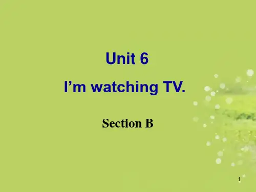 湖北省七年级英语下册Unit6ImwatchingTVSectionB课件新版人教新目标版