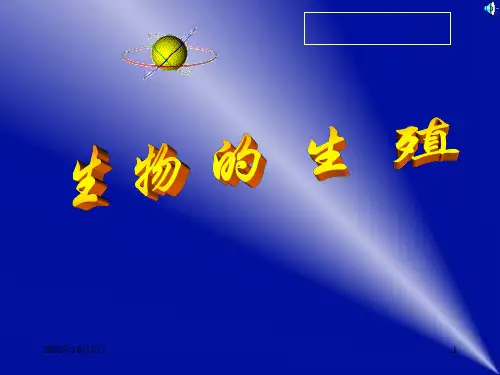 生物的生殖PPT课件