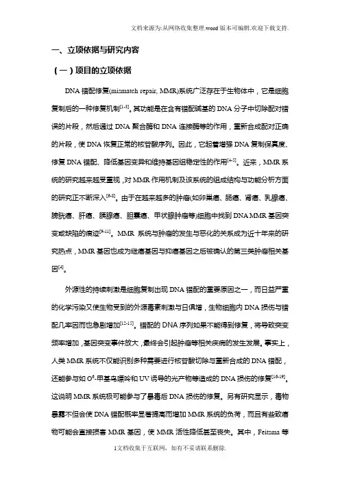 国家自然科学基金申请书模板