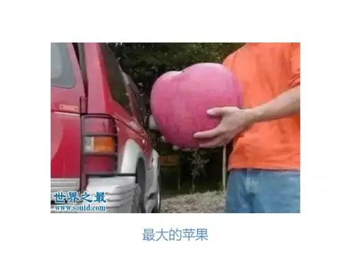 制作电子小报