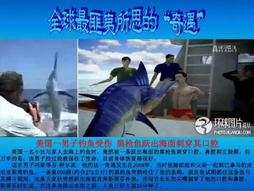 匪夷所思的奇遇