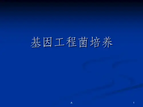 基因工程菌培养