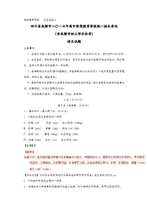 2016年成都市中考语文试题解析版