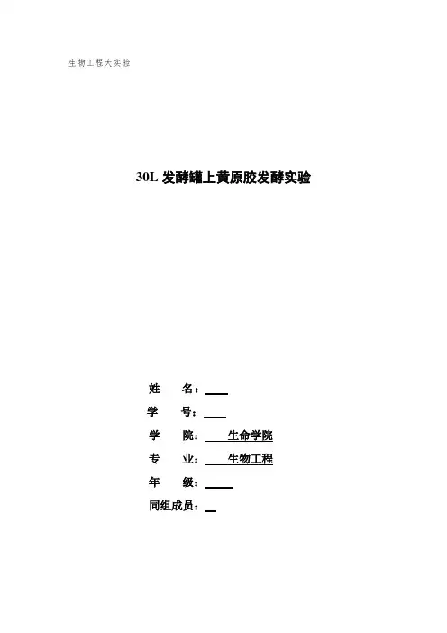 生物工程大实验报告