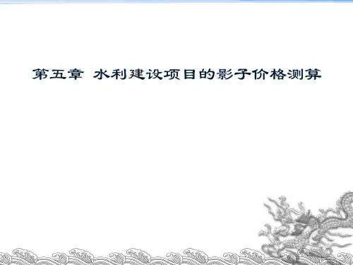 水利建设项目的影子价格测算