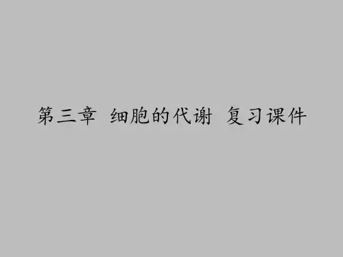 浙科版高中生物必修1：分子与细胞第三章 细胞的代谢 复习课件