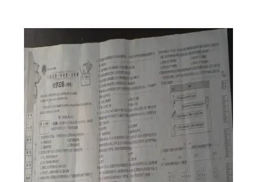 河北省邢台市第五中学2015届九年级上学期第一次月考化学(扫描版)(附答案)$474945